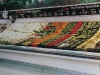352_project02_2011-041