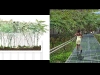 slide13