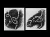 slide20