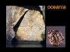 slide63